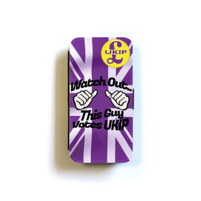 This Guy Votes UKIP Thumbnail