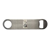 Bar Blade Bottle Opener Thumbnail